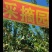 4000斤沙果