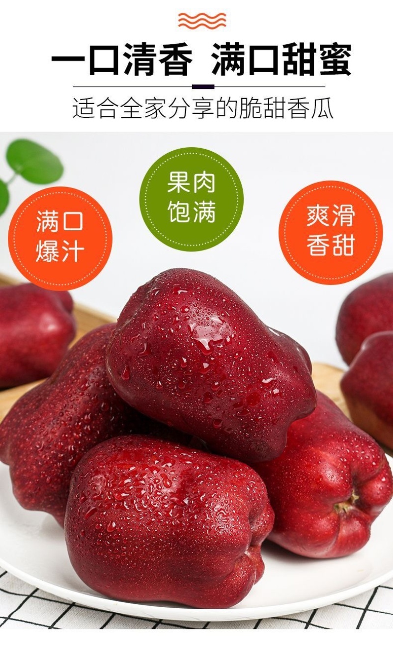甘肃天水花牛苹果大量上市！支持一件代发