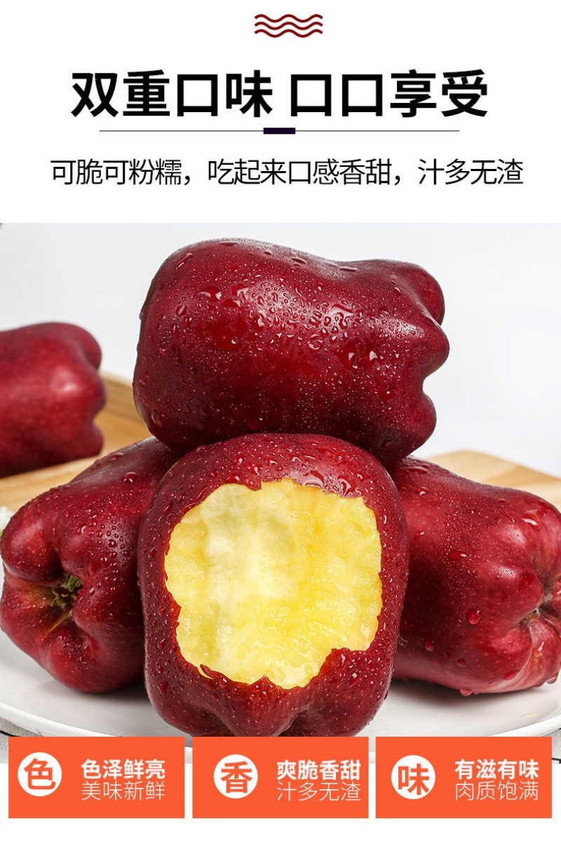 甘肃天水花牛苹果大量上市！支持一件代发
