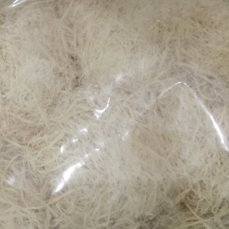 竹茹