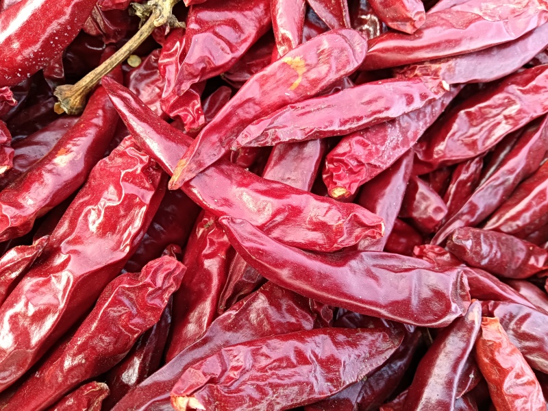 精品三英椒/干辣椒/货源充足量大从优欢迎咨询