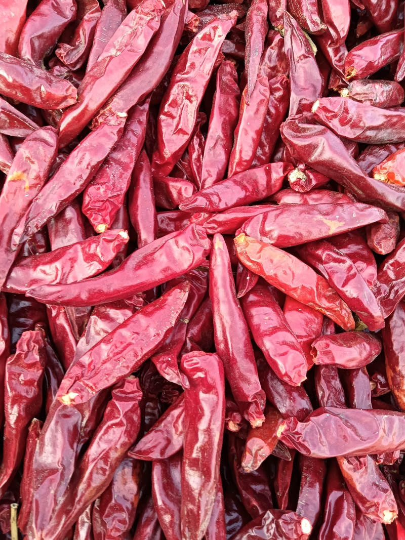 精品三英椒/干辣椒/货源充足量大从优欢迎咨询