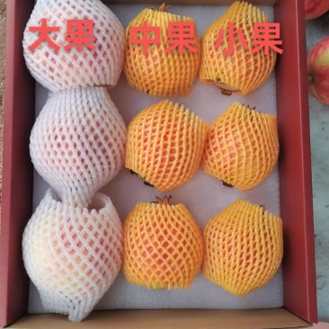 会泽盐水软籽石榴