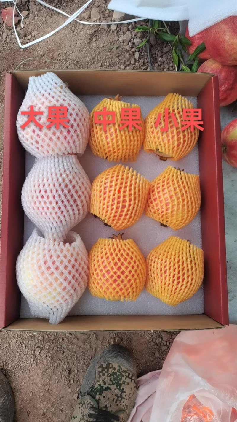 会泽盐水软籽石榴