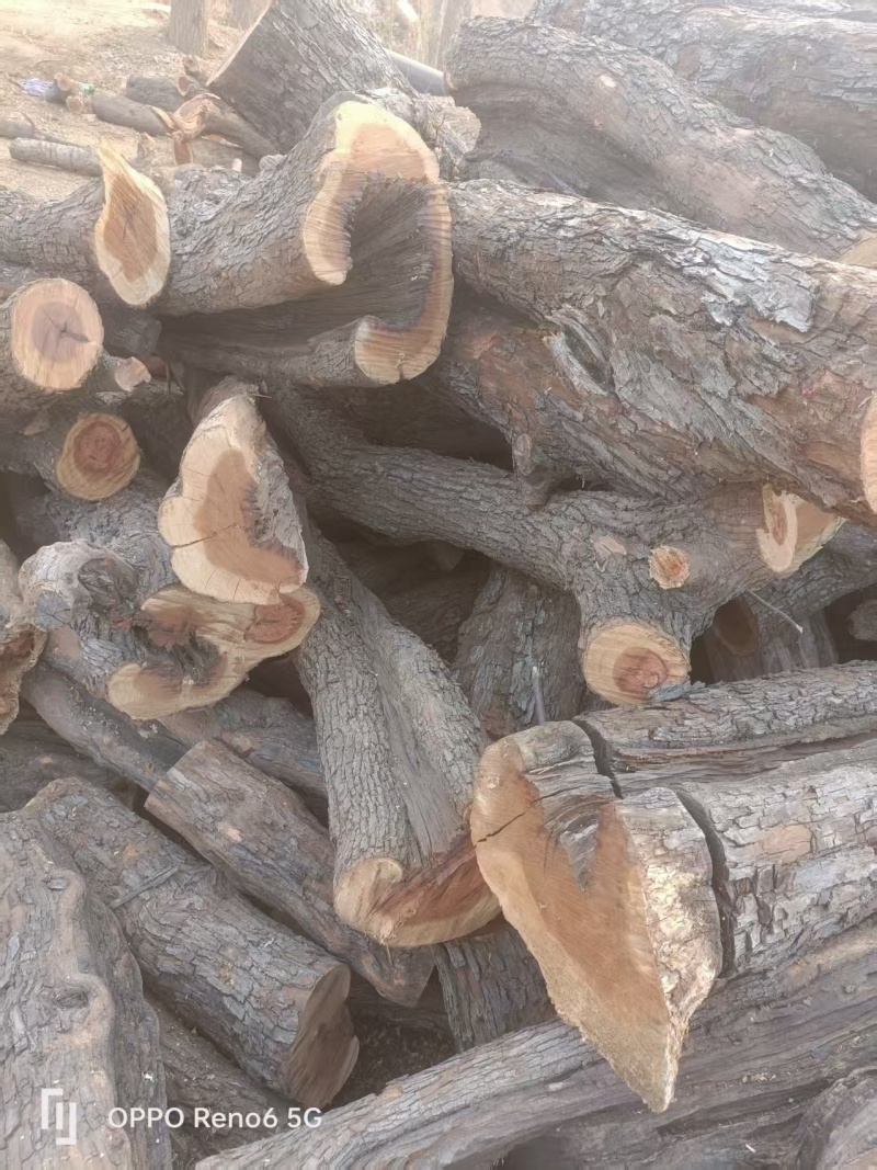 【红心枣木】大量供应一手货源视频看货量大从优