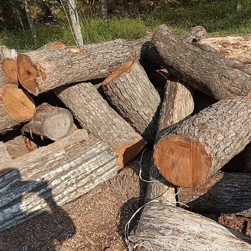 【红心枣木】大量供应一手货源视频看货量大从优