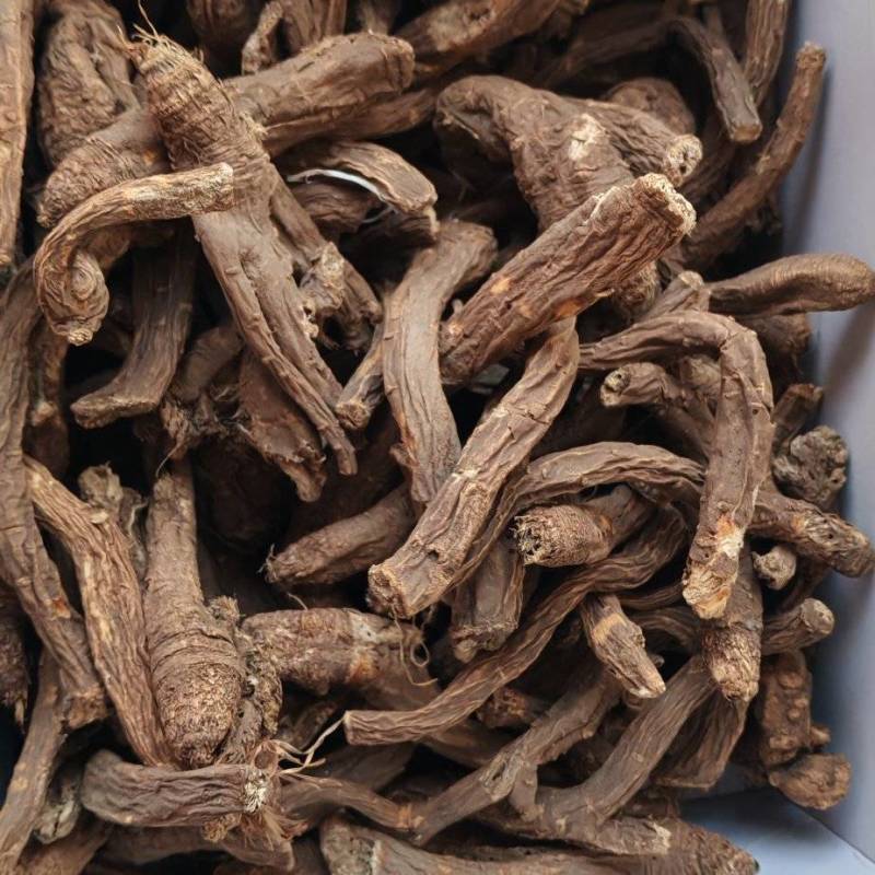 藏当归（人工仿野生种植）高海拔，香味浓郁，价格实惠。