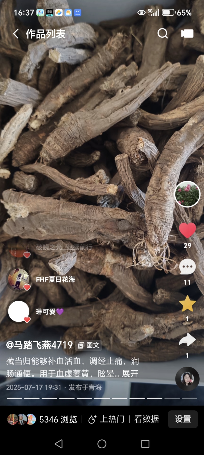 藏当归（人工仿野生种植）高海拔，香味浓郁，价格实惠。