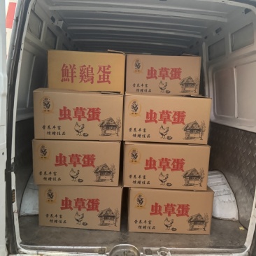 笨鸡蛋，虫草蛋，乌鸡蛋