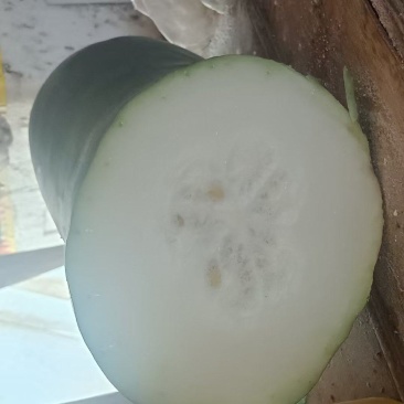 肉多瓤少精品陆地冬瓜