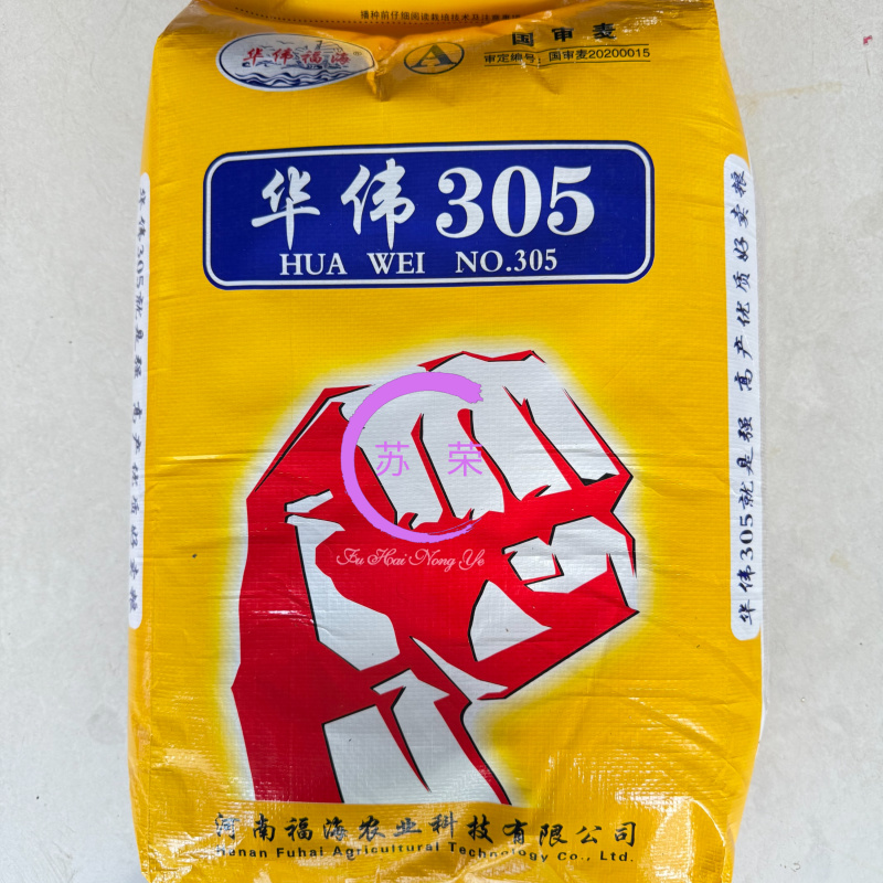 华伟305小麦种子国审原厂正品高产稳产抗病抗倒抗冻