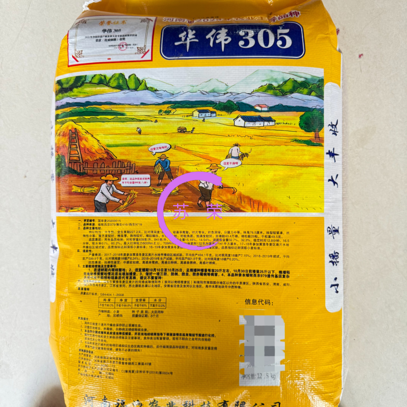 华伟305小麦种子国审原厂正品高产稳产抗病抗倒抗冻