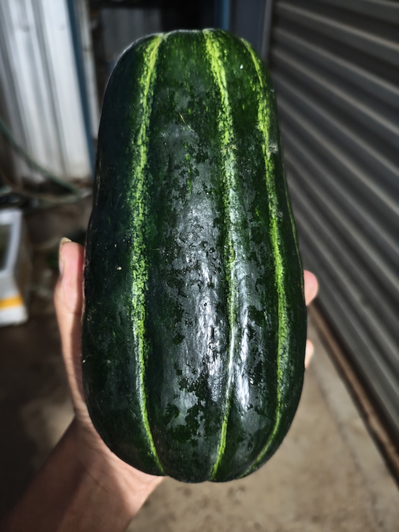 菜瓜，稍瓜，