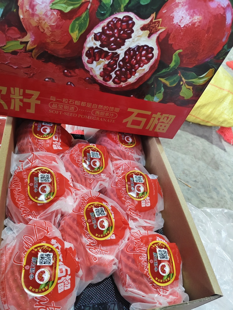四川会理软籽石榴
