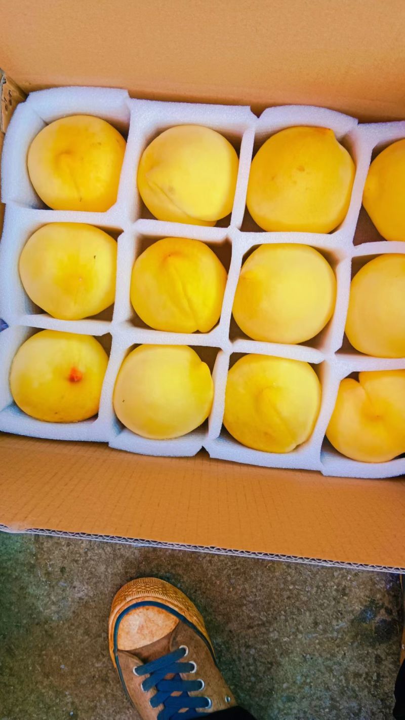 黄桃