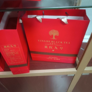 英红九号