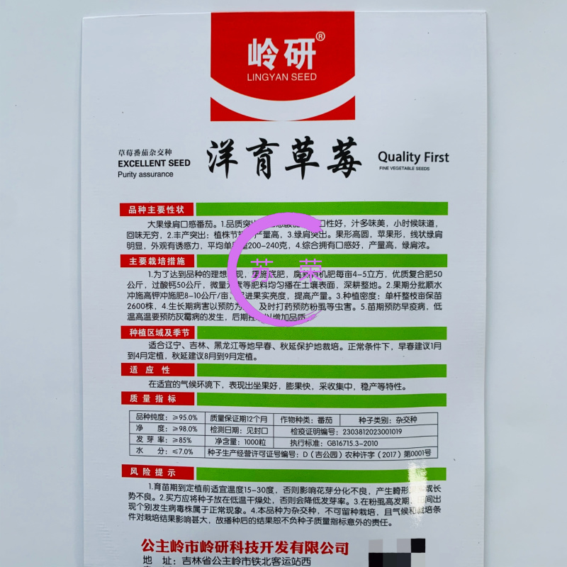 洋育草莓番茄种子大果绿肩口感番茄口感酸甜小时候的味道