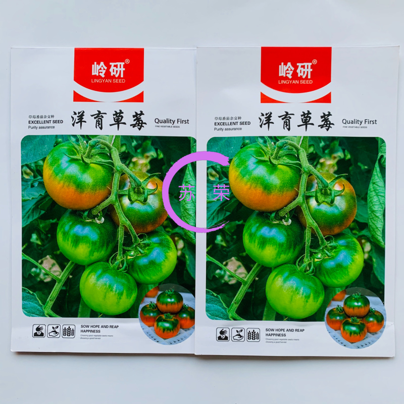 洋育草莓番茄种子大果绿肩口感番茄口感酸甜小时候的味道