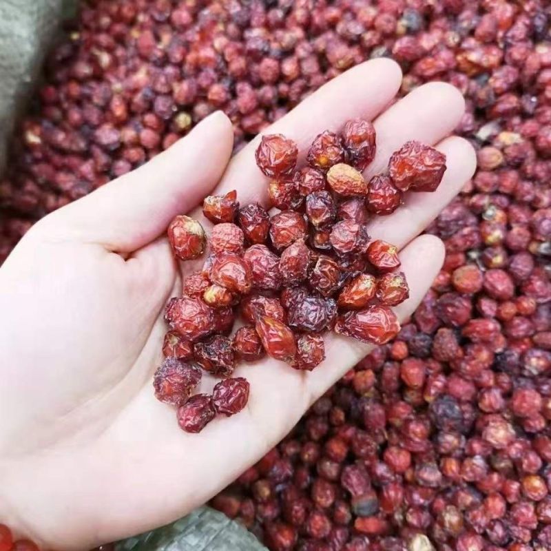 中药材批发玫瑰果野蔷薇野刺玫果山刺玫果蔷薇果