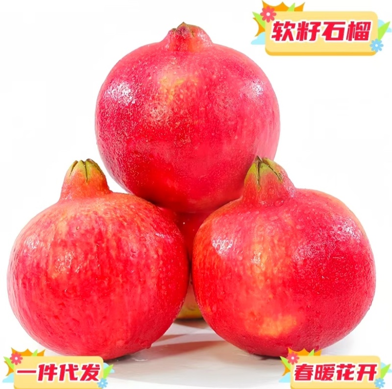 现货一件代发四川大凉山会理突尼斯软籽石榴电商各大平台