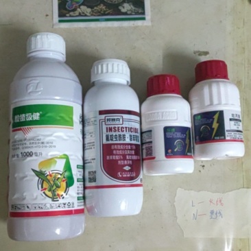 蔬菜再生稻水稻上白飞虱白粉虱的专用药