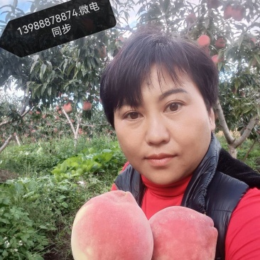 丽江雪桃热销中