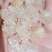 雪燕，精品云南雪燕拉丝品质如图一手货源关书药业