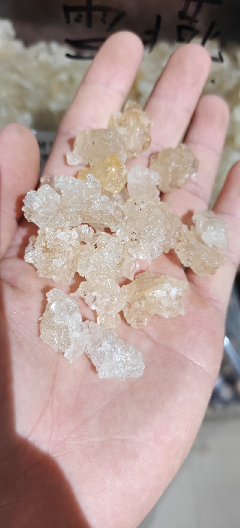 雪燕，精品云南雪燕拉丝品质如图一手货源关书药业