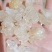 雪燕，精品云南雪燕拉丝品质如图一手货源关书药业
