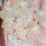雪燕，精品云南雪燕拉丝品质如图一手货源关书药业