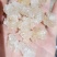 雪燕，精品云南雪燕拉丝品质如图一手货源关书药业
