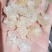 雪燕，精品云南雪燕拉丝品质如图一手货源关书药业