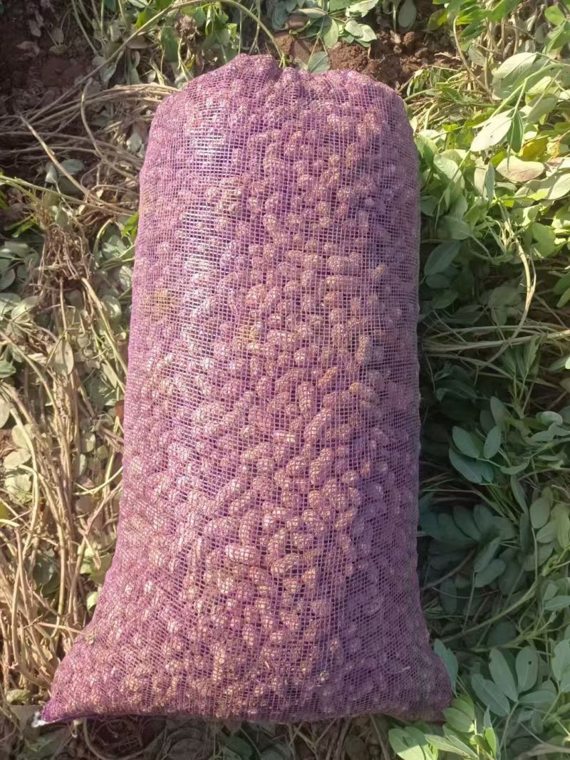 大量出售鲜花生