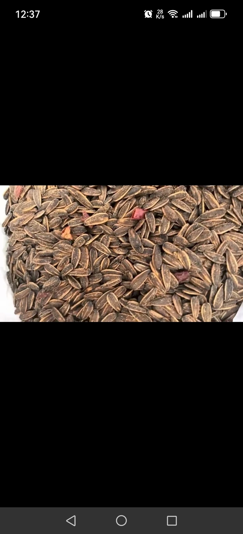 熟原味儿葵花籽厂家直销电商用货商超用货一手货源