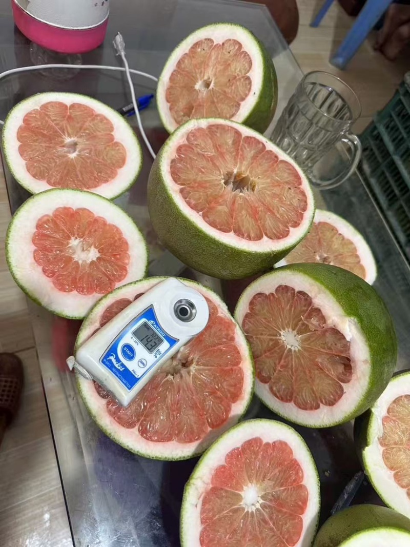 进口青柚