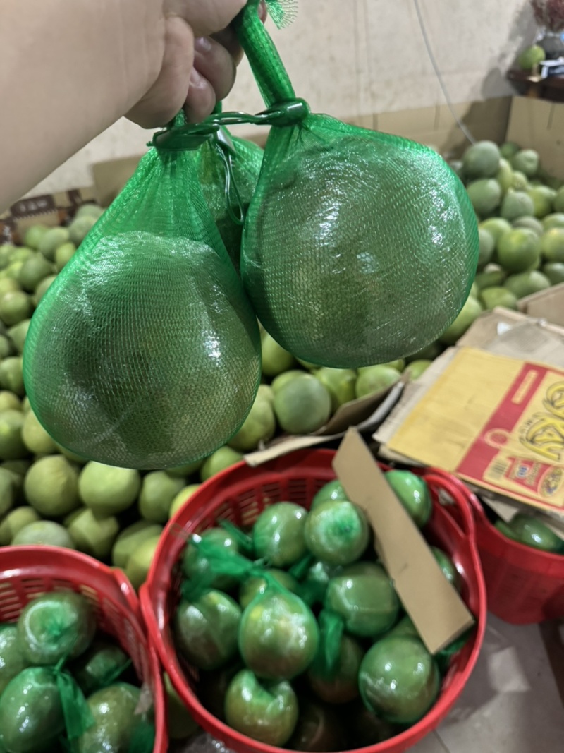 进口青柚