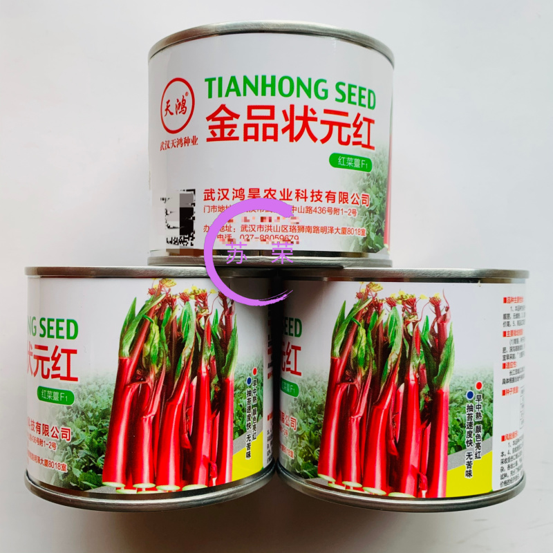 天鸿金品状元红菜苔种子亮红无腊粉杂交早中熟味甜质脆无苦味