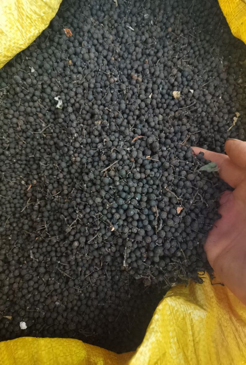 广西木姜子山胡椒贵州云南山苍籽木姜子根