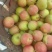 精品南果梨