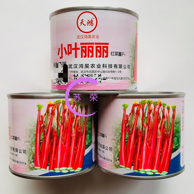 小叶丽丽杂交红菜苔早熟高产大苔叶小产量高甜菜苔无腊粉