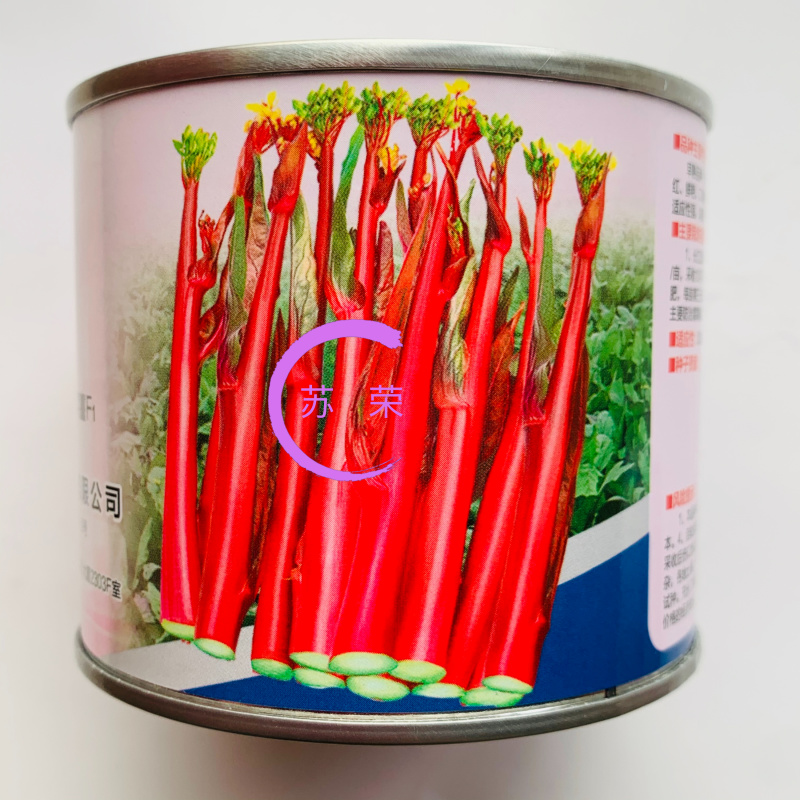 小叶丽丽杂交红菜苔早熟高产大苔叶小产量高甜菜苔无腊粉