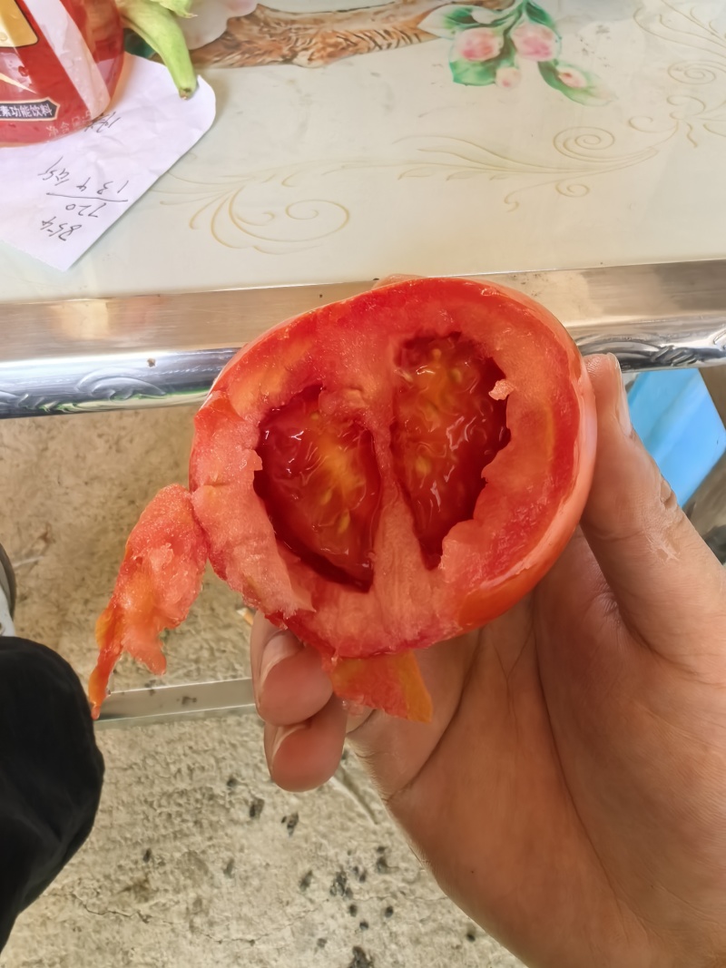 西红柿大红西红柿石头果产地直发大量供应