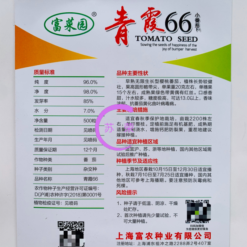 青霞66绿色小番茄种子口感好高糖度水果小柿子种籽
