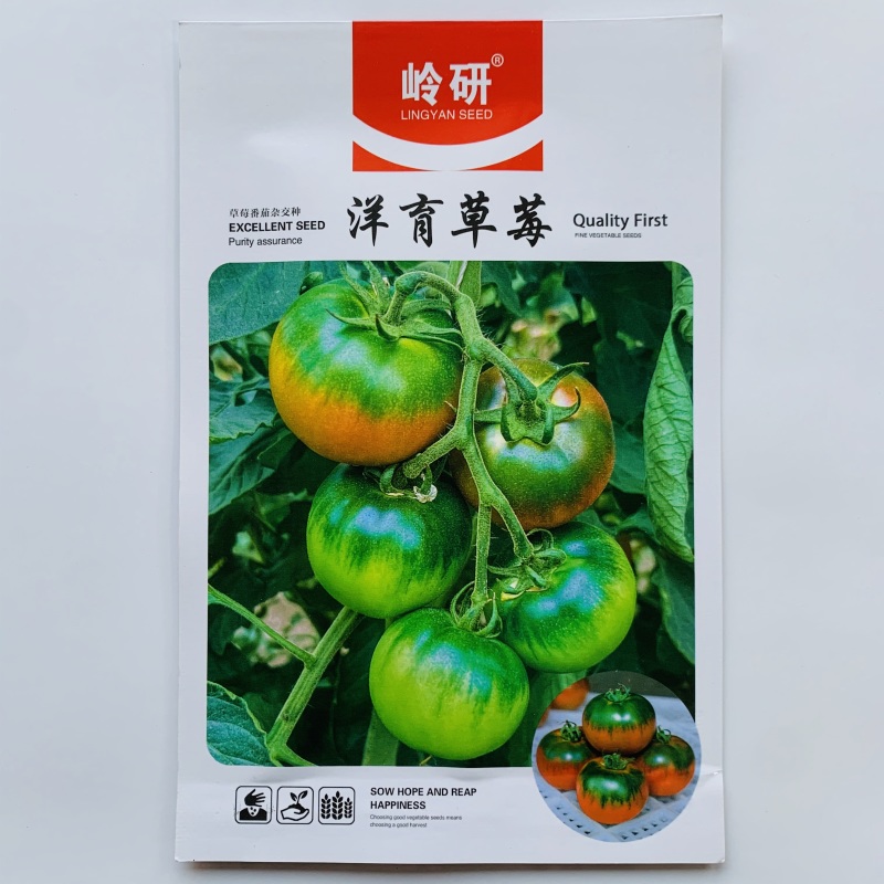 甘甜口感型水果番茄种子酸甜可口草莓西红柿种子带绿肩高糖