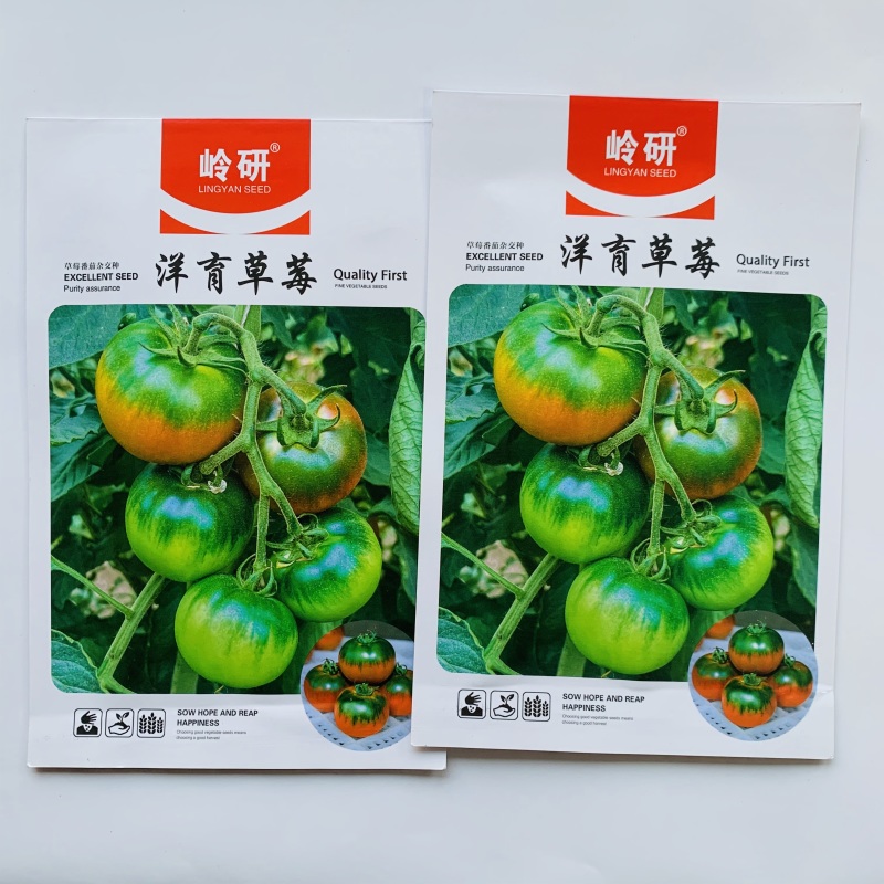 甘甜口感型水果番茄种子酸甜可口草莓西红柿种子带绿肩高糖