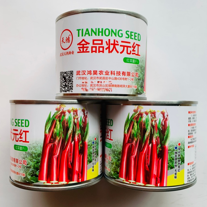 基地优选小叶红菜薹种子味甜无苦味抗热耐寒红菜苔种子