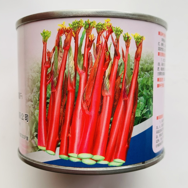 基地优选小叶红菜薹种子味甜无苦味抗热耐寒红菜苔种子