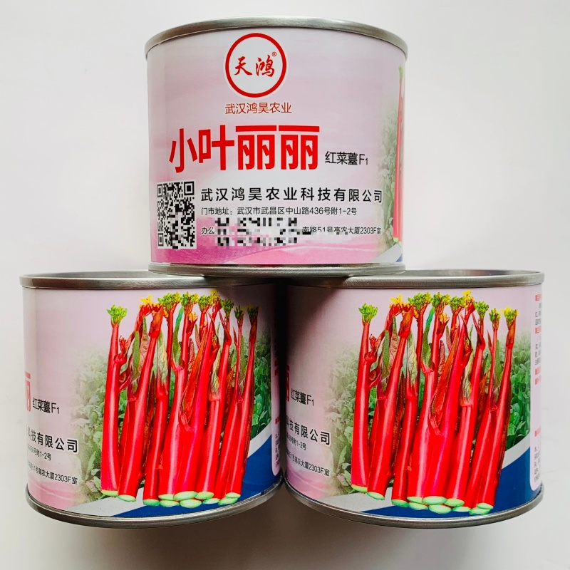基地优选小叶红菜薹种子味甜无苦味抗热耐寒红菜苔种子