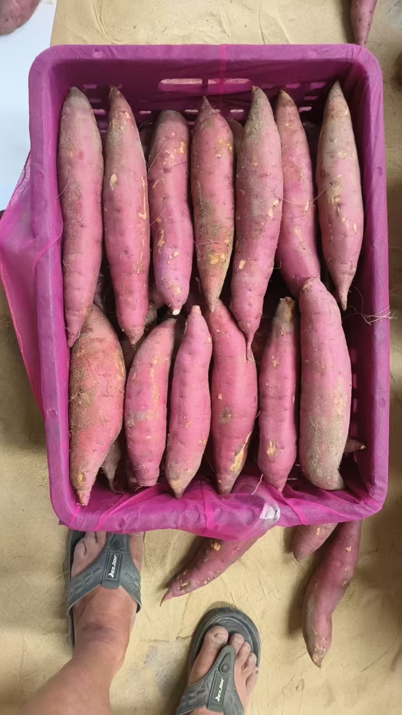 西瓜红