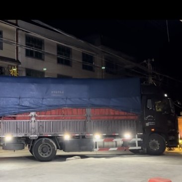 福建仙游度尾文旦柚密柚精品果一手货源产地服务